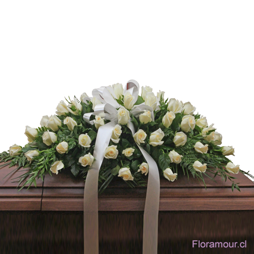 Gran Ovalo manto cubre urna de rosas importadas blancas
